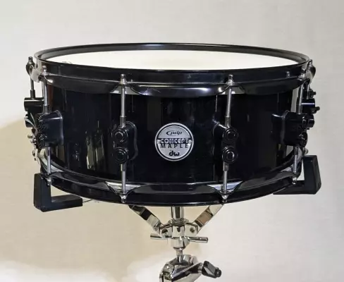 Pacific Drums - Concept Maple Snare 5.5x14